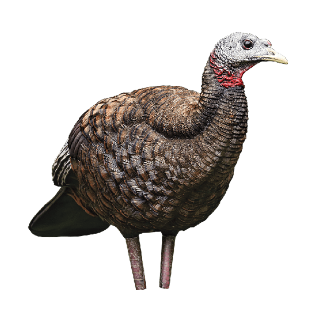 HS Strut Turkey Decoys Lifelike Realism at an Affordable Price
