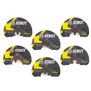 Elite 6 Series 6 Pack